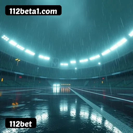 Estatísticas 112bet novembro 2024 - 87 mil jogadores ativos, R$47M pagos, RTP 96.52%